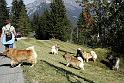Auf dem Heimweg